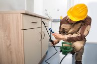 Pest Control Kitchener