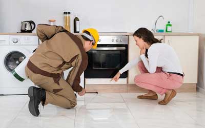 Top 4 Reasons Why Pests Invade Your Home