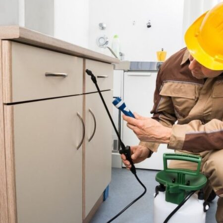 Pest Control WEB (1) Pest Control WEB (1)