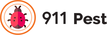 911 Pest Control Cambridge